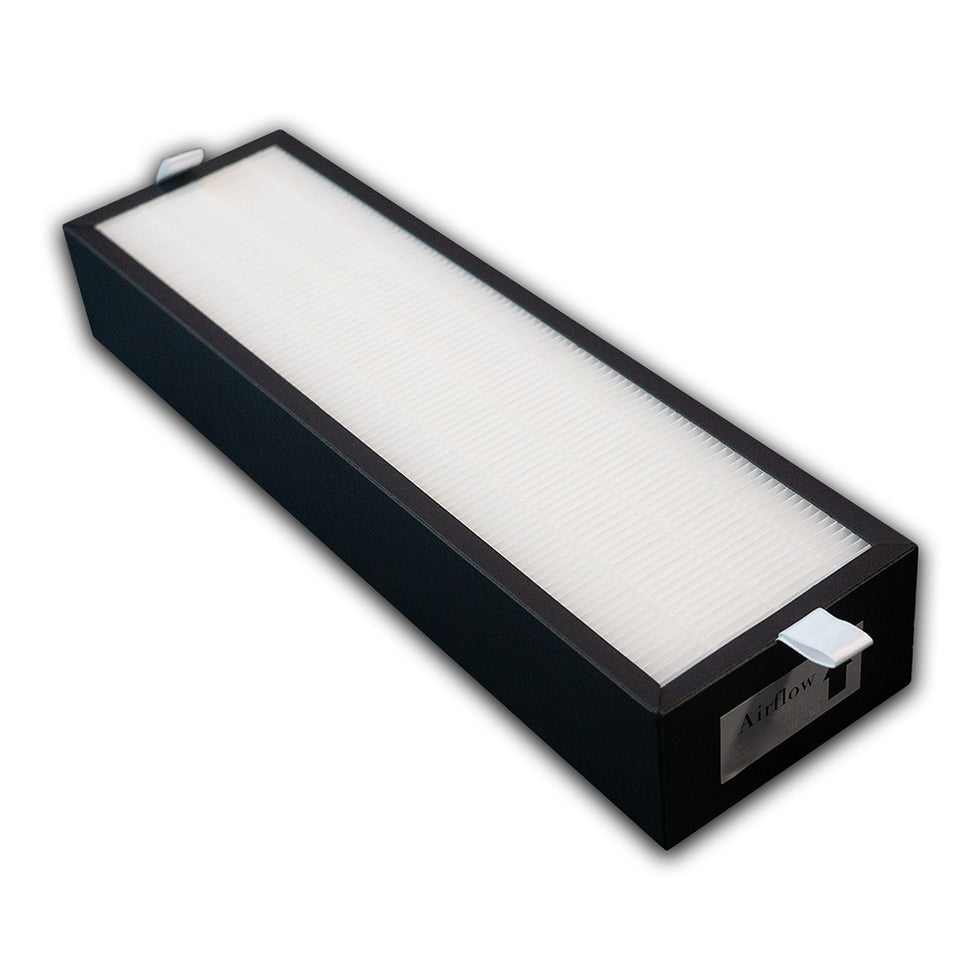 Pioneer HEPA Filter for ERV150AHRPM25L